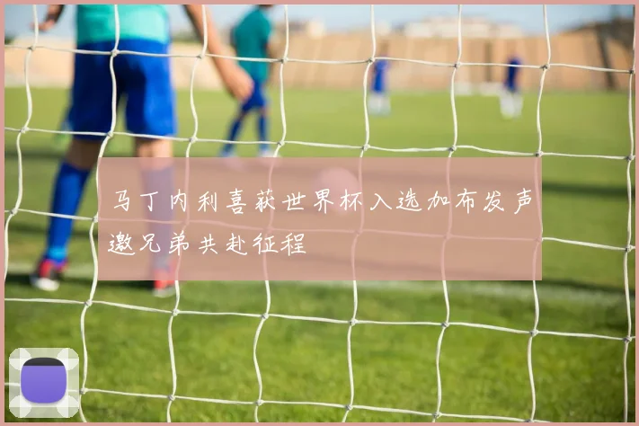 马丁内利喜获世界杯入选加布发声邀兄弟共赴征程