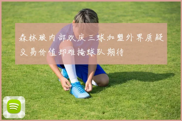 森林狼内部欢庆三球加盟外界质疑交易价值却难掩球队期待